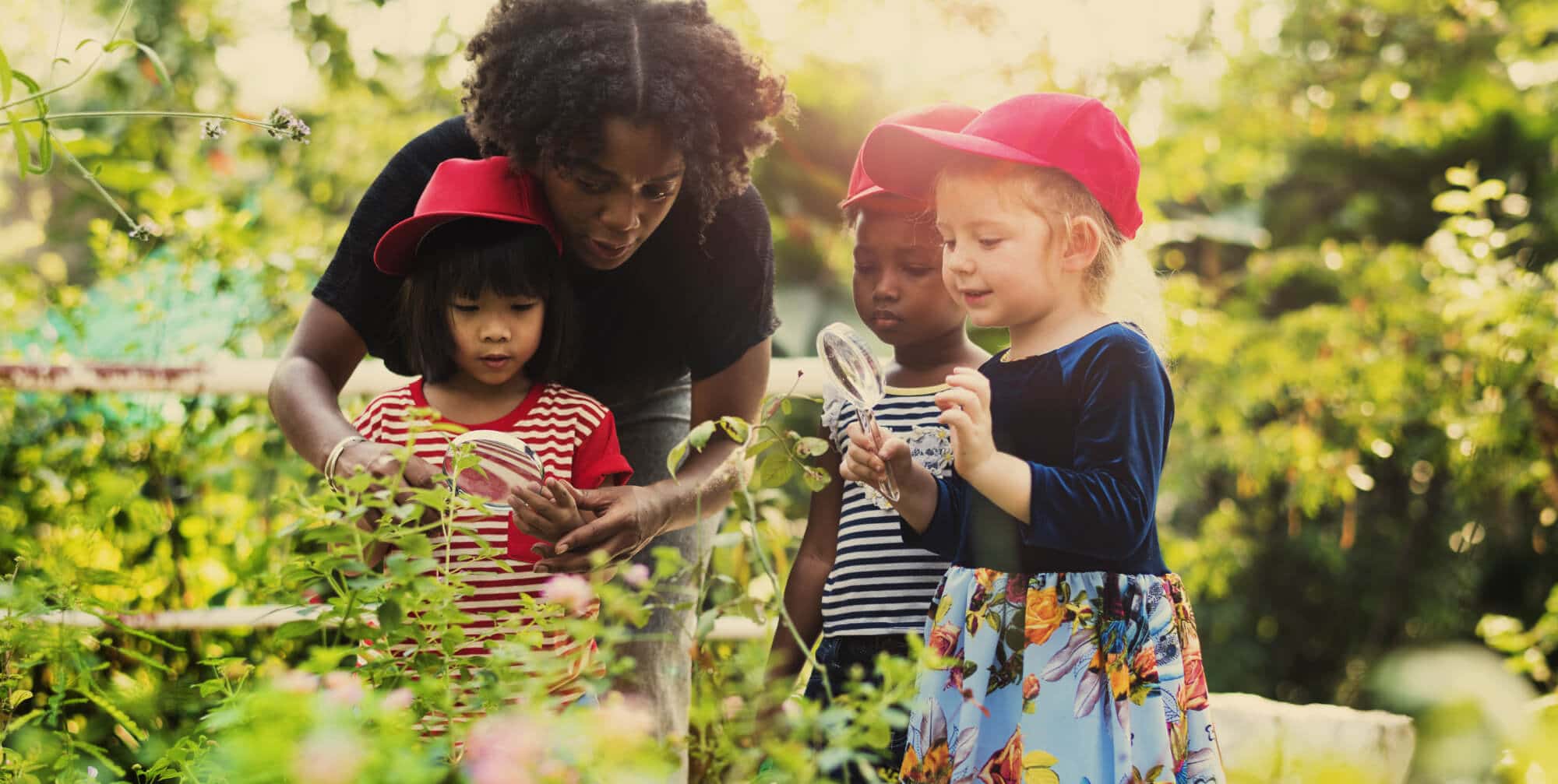 Adult and three children looking at plants in a garden