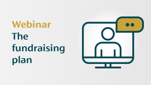 The fundraising plan icon