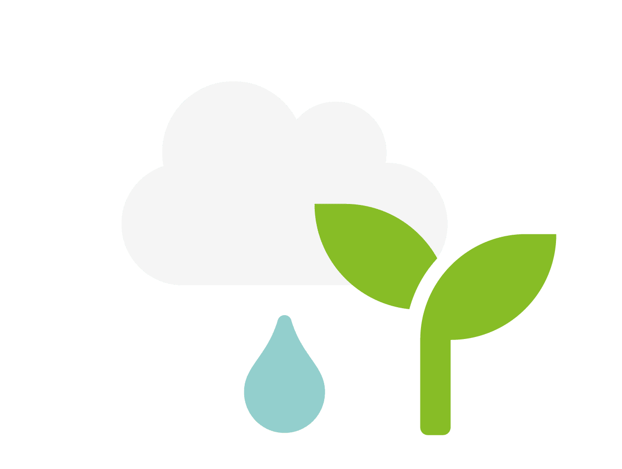 Illustration of rain cloud and plant